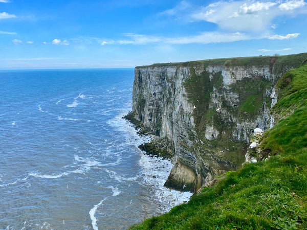 Bempton Cliffs