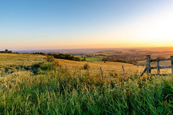 Yorkshire Wolds